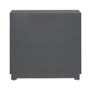 Fiore 2 Door Accent Cabinet image