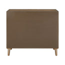Eden 2 Door Accent Cabinet image