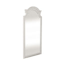 Magnolia Manor Floor Mirror image