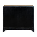 Montecito 2 Door Accent Cabinet image