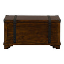 Aspen Skies Storage Trunk in Russet Brown