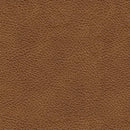 Carianna Sofa Sleeper