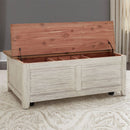 Liberty Farmhouse Reimagined Storage Trunk in Antique White