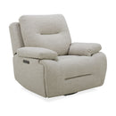 Cameron SG Recliner P3
