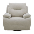 Cameron SG Recliner P3