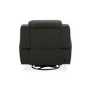 Chapman SG Recliner P2