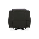 Chapman SG Recliner P2 image