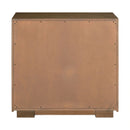 Easton 2 Door Accent Cabinet image