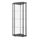 Zenobia Glass Shelf Curio Cabinet Clear and Black