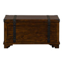 Aspen Skies Storage Trunk in Russet Brown image