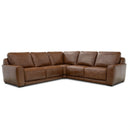 Blake Sectional image