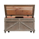 Parkland Falls Storage Trunk in Weathered Taupe image