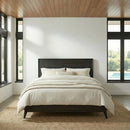 Century Modern Queen Platform Bed image