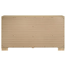 Arielle Dresser